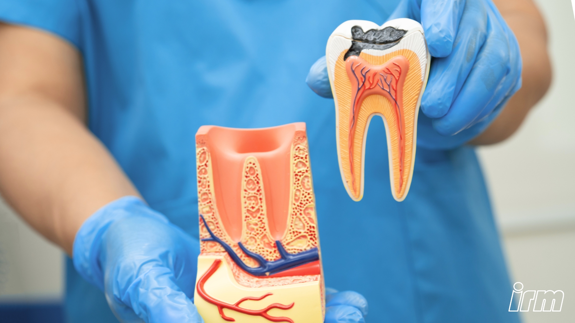 L'immagine rappresenta un dentista