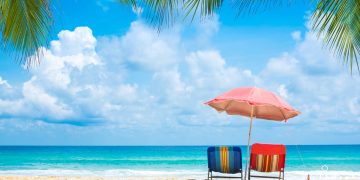 L'immagine rappresenta una spiaggia tropicale.