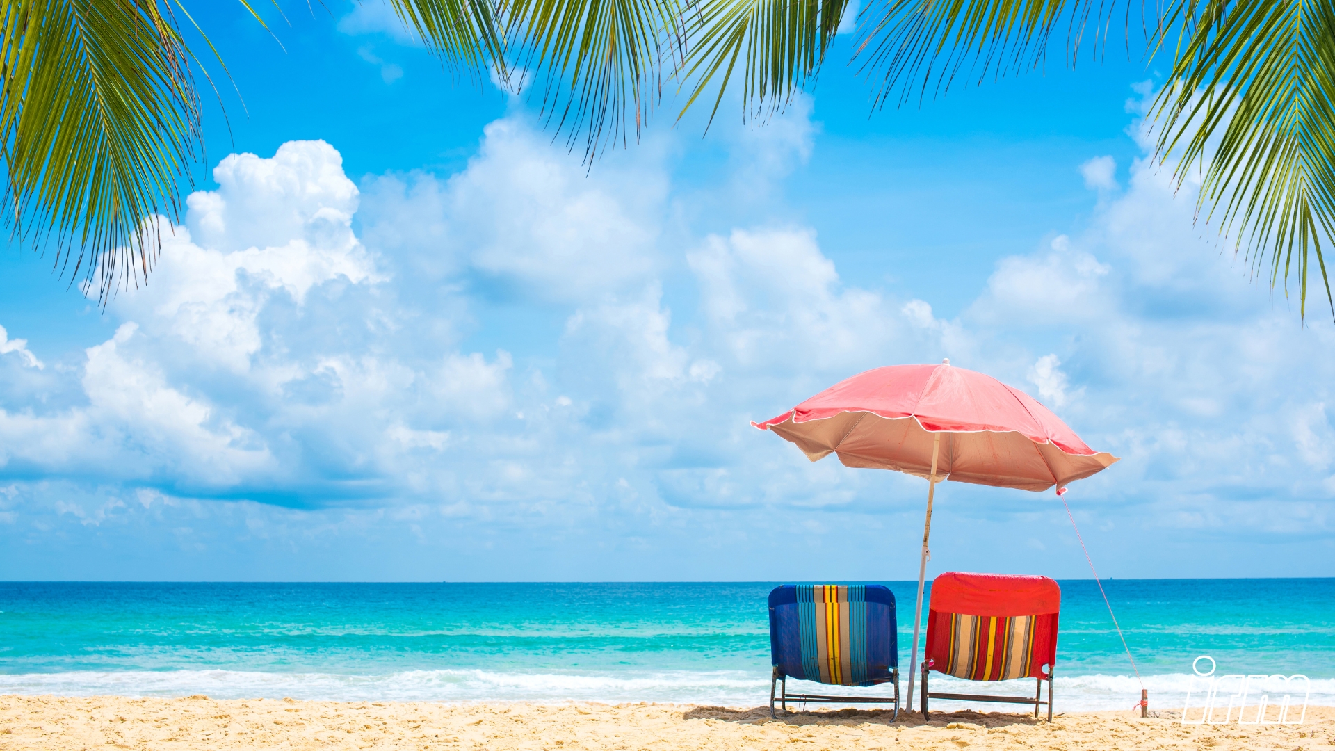 L'immagine rappresenta una spiaggia tropicale.